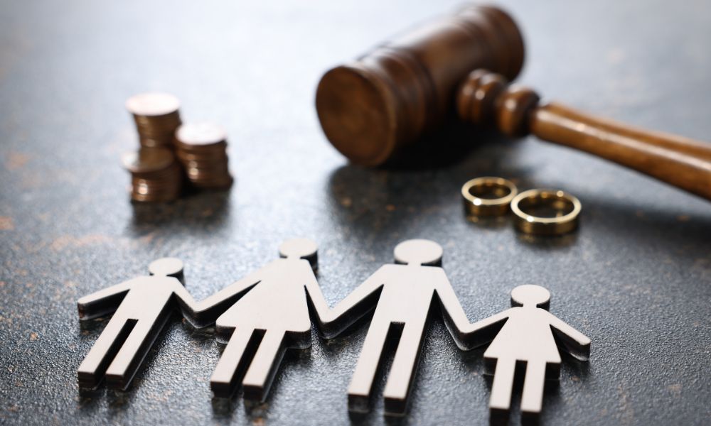 Child Support Leads Panel Img