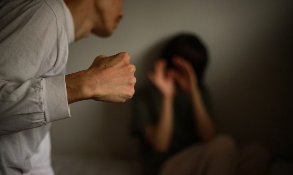 Domestic Violence Leads Panel Img