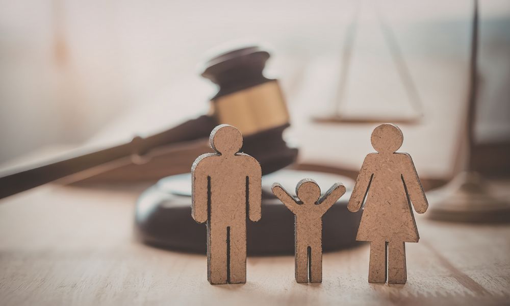 Guardianship Leads Panel Img